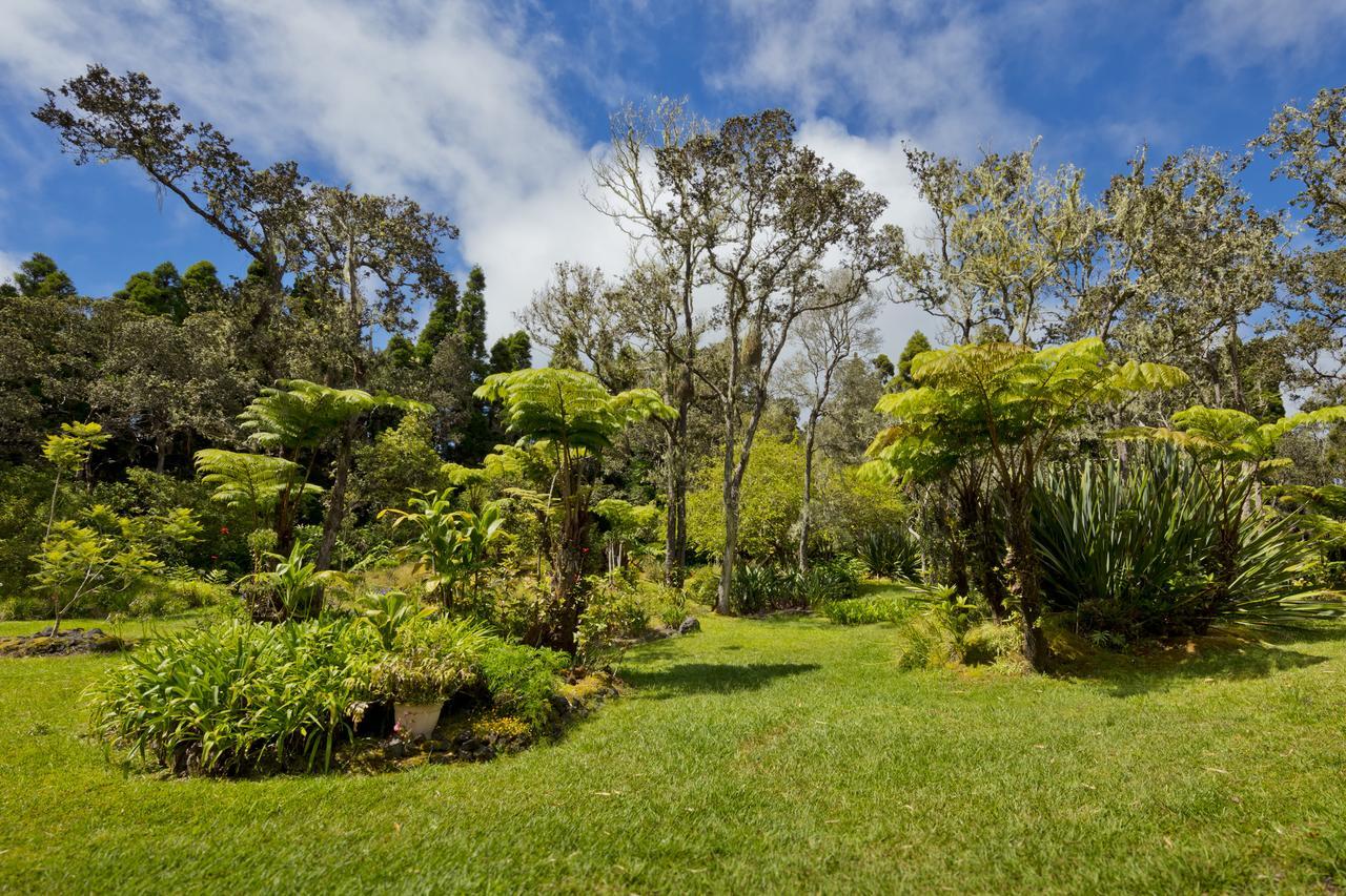Hale 'Ohu Bed & Breakfast Volcano Ngoại thất bức ảnh