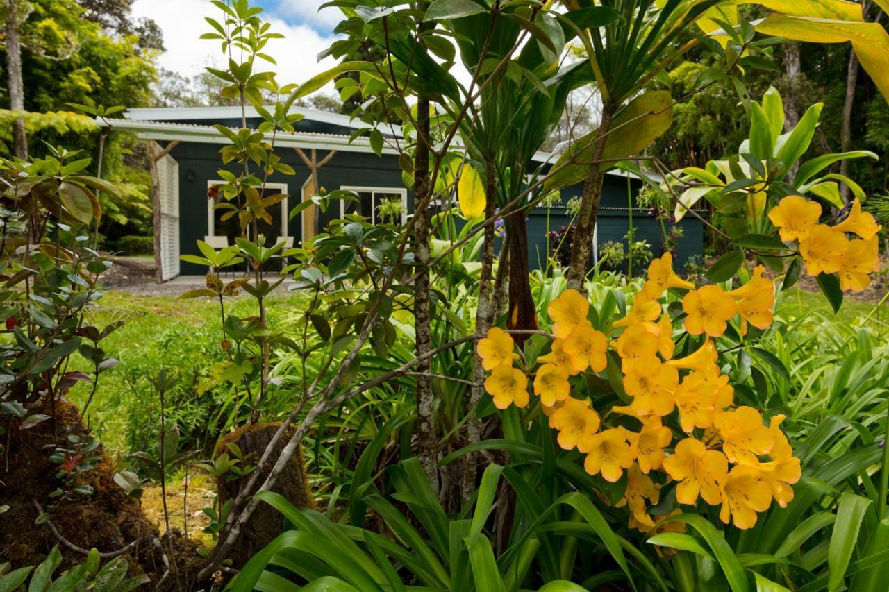 Hale 'Ohu Bed & Breakfast Volcano Ngoại thất bức ảnh